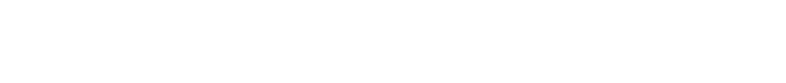 Flanker Srl
